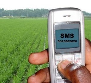 farmer-sms