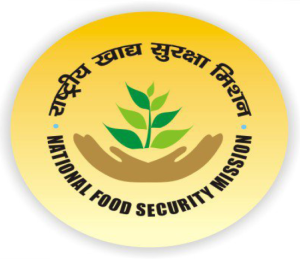 NFSM_LOGO