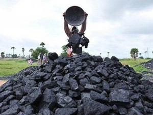 Coal