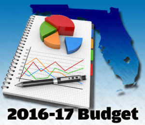 budget-2016-17