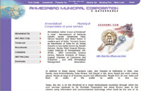 eINDIA 2009 nominations: municipal IT