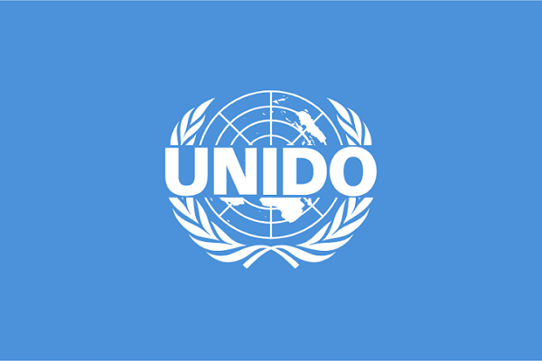 United Nations Industrial Development Organization (UNIDO)