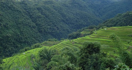 Mizoram gets Rs 370 Cr to improve farming pattern