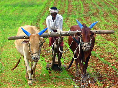 Nabard extends helping hands to farmers