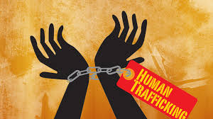 Government launches portal to combat human trafficking