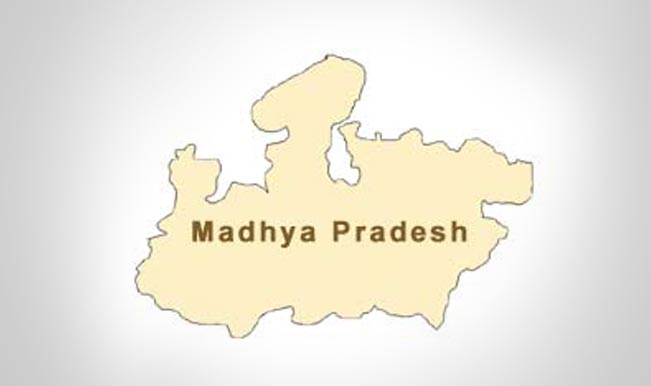 Three Madhya Pradesh villages turned into free wi-fi zone