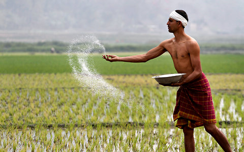 DrumNet project to make Kenyan farmers ICT enabled