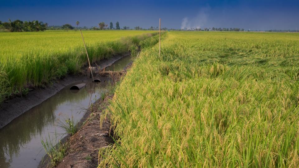 Telangana becomes first state to provide 24-hours free power supply to farmers