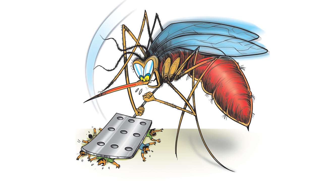 Ahmedabad Municipal Corporation intensifies drive against malaria