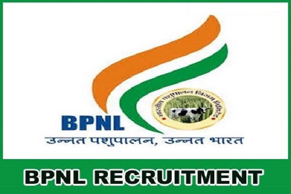 BNPL Recruitment 2020