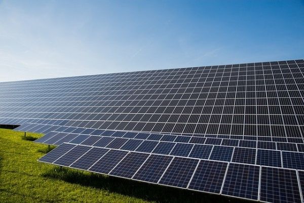 NCL partners with NTPC to install 50MW solar project in Madhya Pradesh