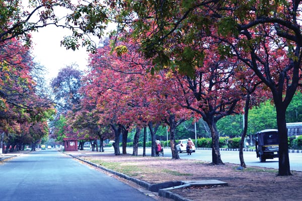 Chandigarh : The City Beautiful