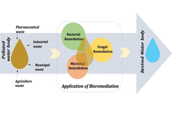 Bioremediation application