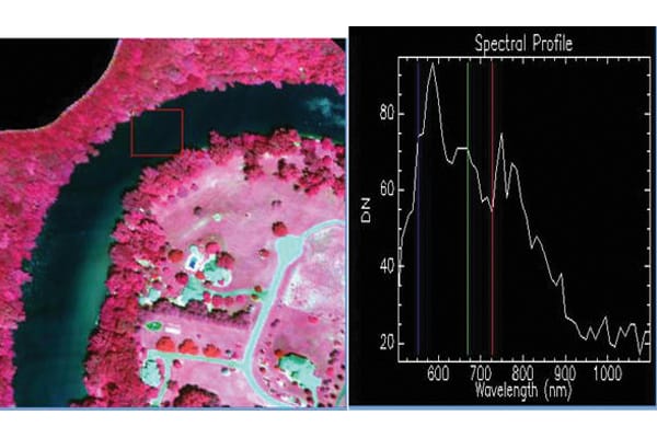 Hyperspectral Imagery