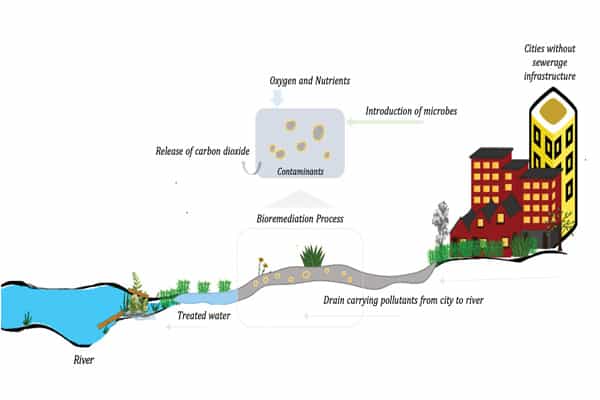 Schematics showing application of Bioremediation for drain cleaning