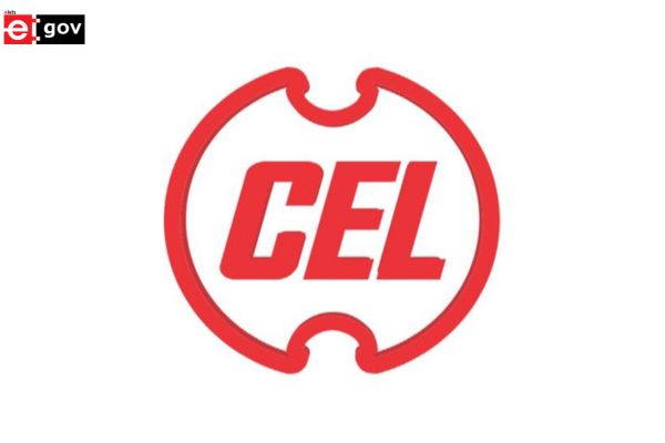 S Narayan Selected as CMD of Central Electronics Limited