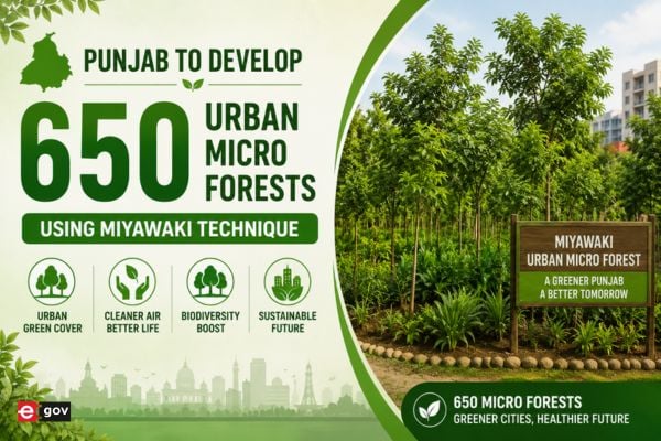 Bihar Targets ₹5 Lakh Crore IT Investment to Drive AI and Digital Growth